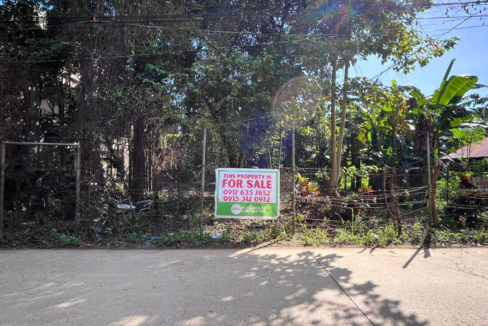 prime mixed-use property near Puerto Princesa City