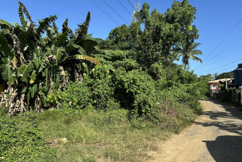 300sq-Bgy.Bancao-bancao (1)