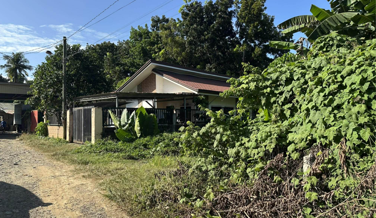 300sq-Bgy.Bancao-bancao (2)