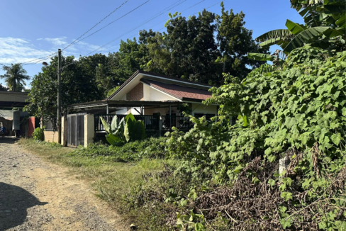 300sq-Bgy.Bancao-bancao (2)