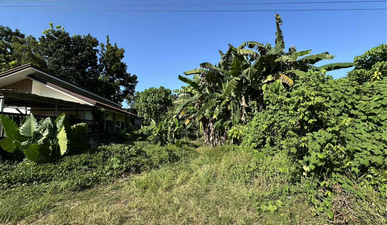 300sq-Bgy.Bancao-bancao (3)