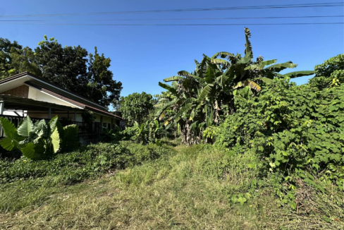 300sq-Bgy.Bancao-bancao (3)