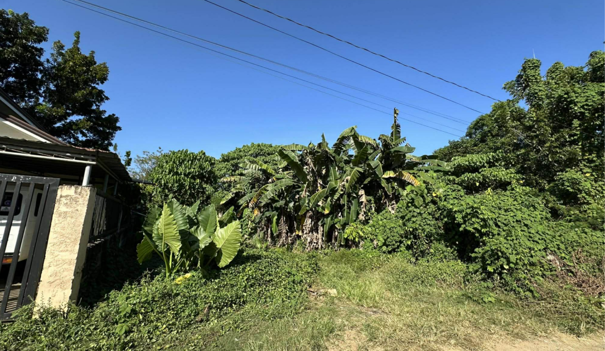 300sq-Bgy.Bancao-bancao