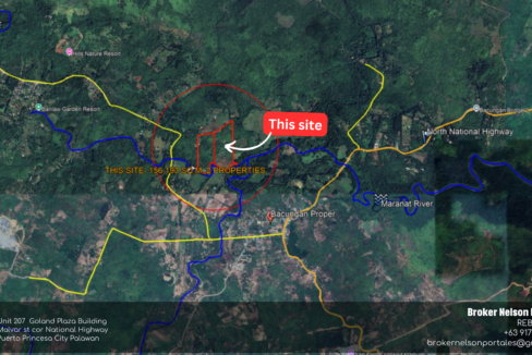 raw lot for sale Puerto Princesa beside Bacungan River