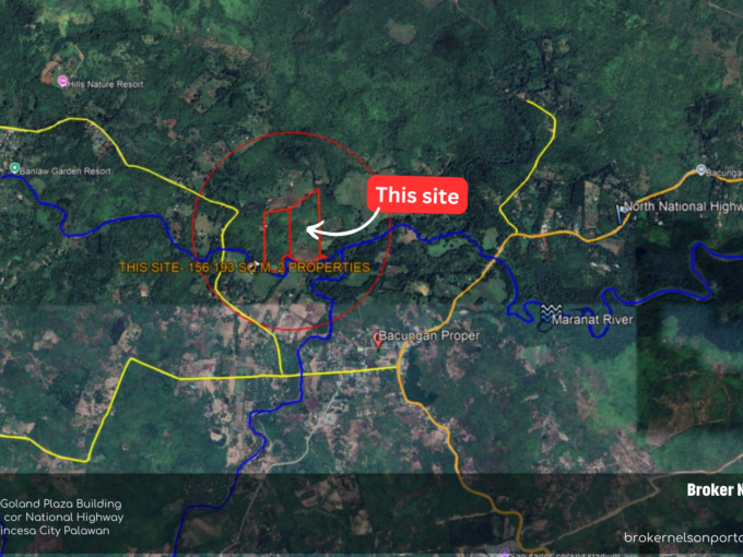 raw lot for sale Puerto Princesa beside Bacungan River