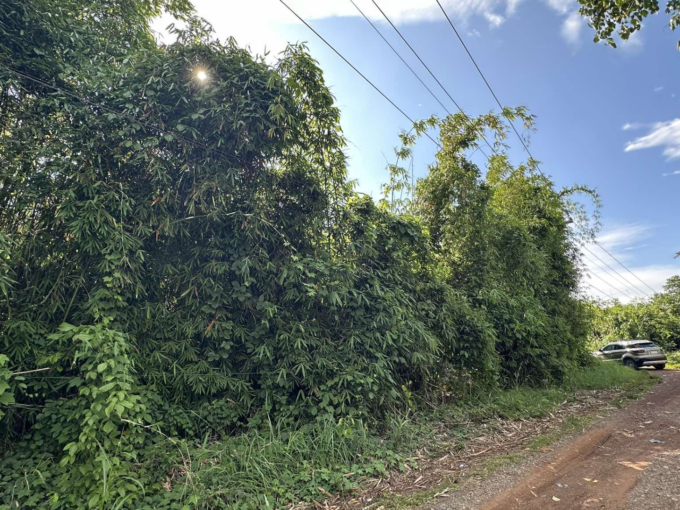 Residential lot for sale in Sicsican Puerto Princesa along main road