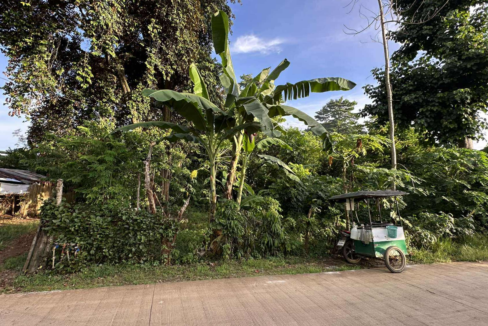 investment residential lot Puerto Princesa City