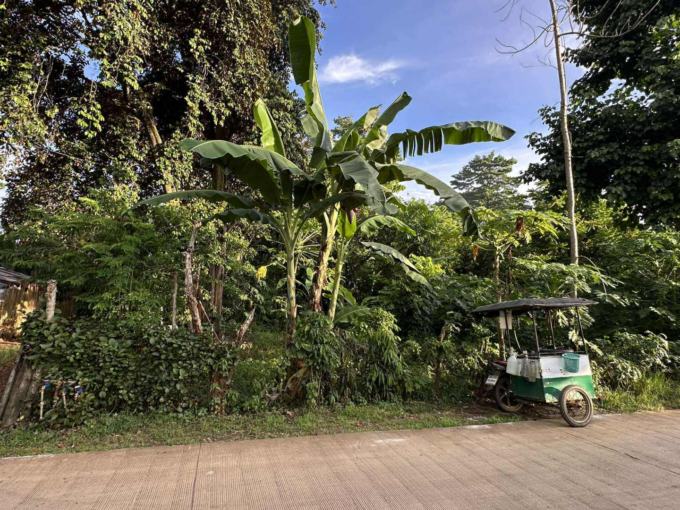 investment residential lot Puerto Princesa City