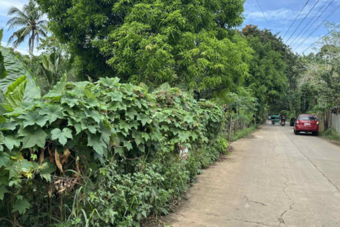 rare residential lot for sale in San Pedro Palawan