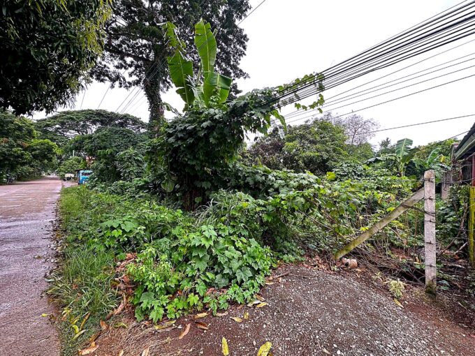 vacant land for sale Puerto Princesa Palawan