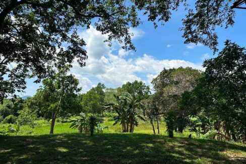lifestyle property for sale Puerto Princesa