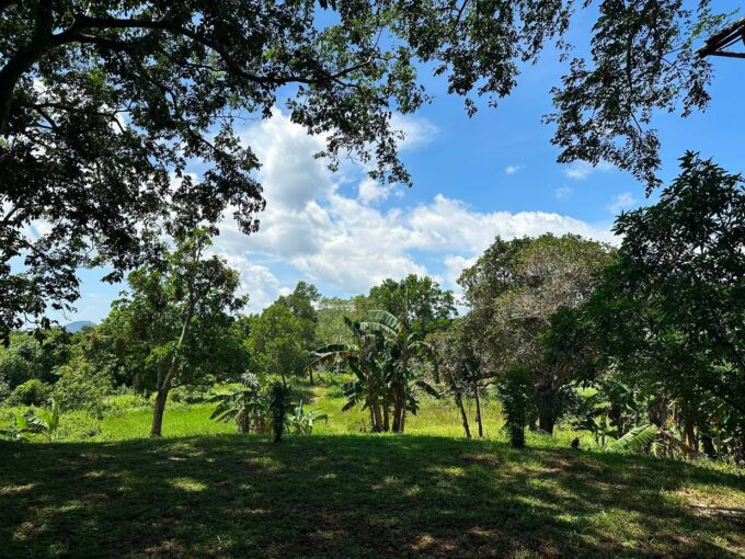 lifestyle property for sale Puerto Princesa